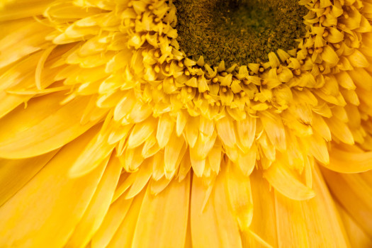 cover2