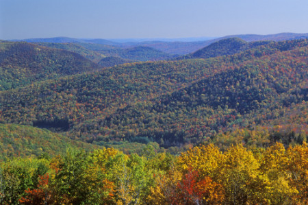 Berkshire Mountains