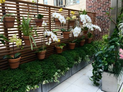 Small Garden Ideas From The 2019 Kips Bay Show House 