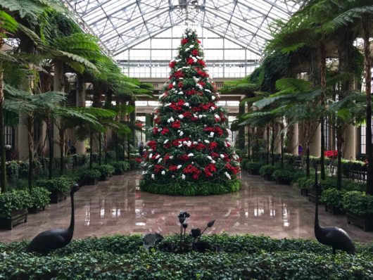 Longwood Gardens 2016 Photo credit: Here By Design