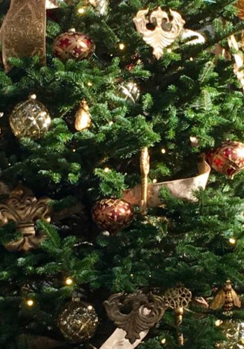 Here By Design - Ideas and inspiration for beautiful, sustainable gardens.